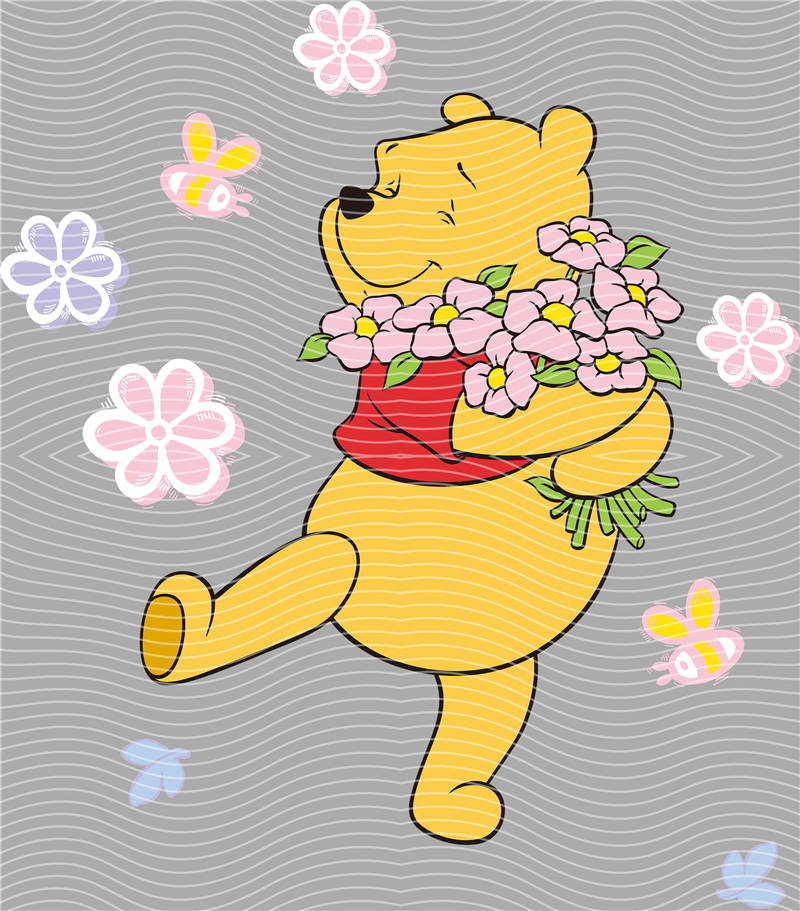 Disney-DS 72